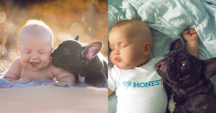  This cute dog and little baby were born the same day and live like twins