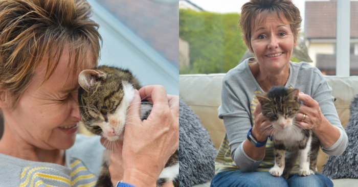  Exciting reunion: the cat, lost for many years, is back with her owner