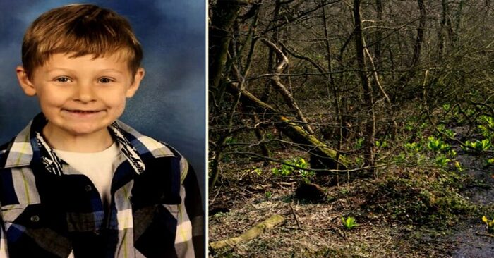  This dog did a heroic deed: he helped a little boy in the forest until rescuers arrived