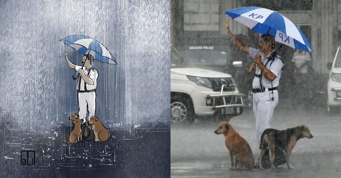  Wonderful human move: this man shares his raincoat with stray dogs in the pouring rain