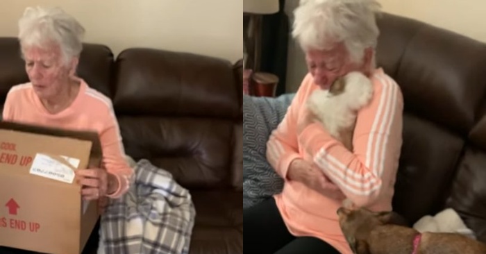  A very moving scene: this old woman was overjoyed when she saw her new little puppy