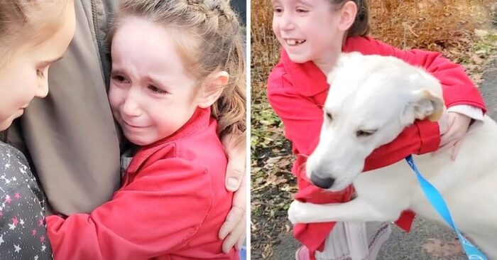 The little girls asked their parents to adopt a dog living in a shelter which the staff was going to euthanize