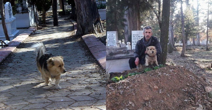  A very moving story: this owner is so touched when he finds out where his faithful dog goes every day