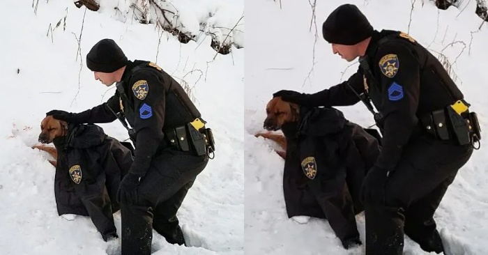  Before the rescue service came, the policeman covered the dog with his coat so that he would not catch a cold
