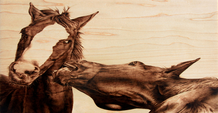  Pictures created with fire and iron. Julie Bender’s the Art of Pyrography.