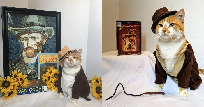 How Cat Inspires Children To Read? What A Wonderful Idea ?