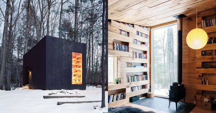  Artist creates his small house in the woods into a cozy library