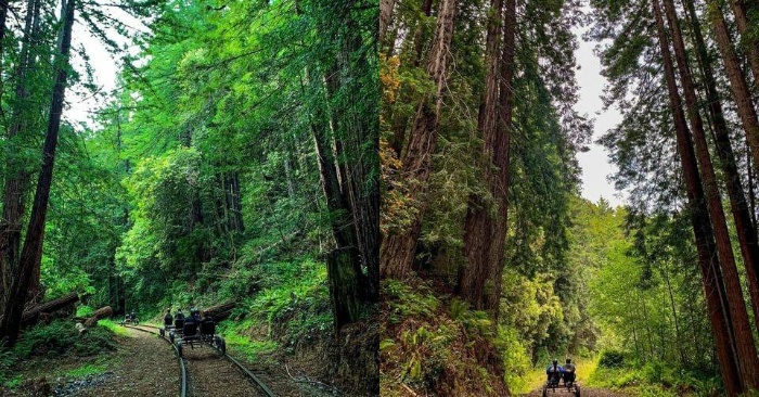  How The Reuse Of The Train Prevented Deforestation. Add This Picturesque Place To Your Travel List.