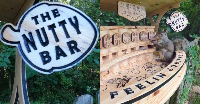  A Woodworker Constructs a Tiny Bar for His Neighborhood Squirrels to Enjoy “Almond Ale” and “Walnut Stout”