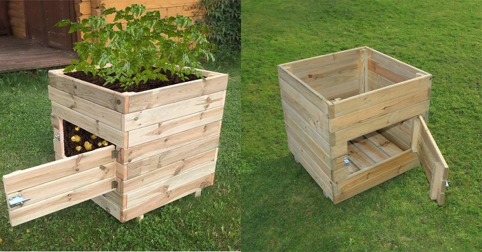  Potato Planting In Wooden Boxes. How Simple Things Can Make Extraordinary Inventions