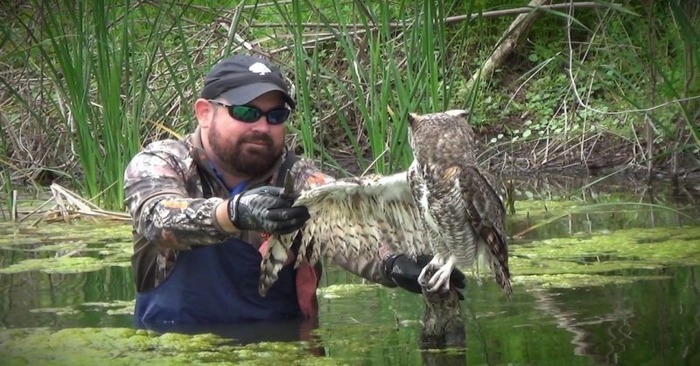  The poor owl accidentally fell into a trap: here is her reaction when a man tries to help her