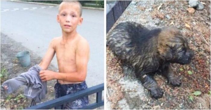  Heroic act: this 12-year-old boy did everything to save a poor puppy that fell into a flooded gutter
