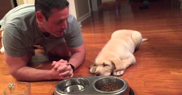  What a great story: this wonderful owner teaches his smart dog to say a prayer before every meal