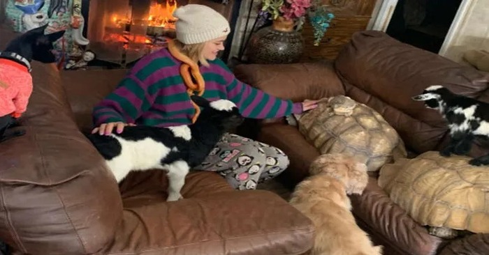  To save the animals from the hurricane, this kind and caring woman took them home