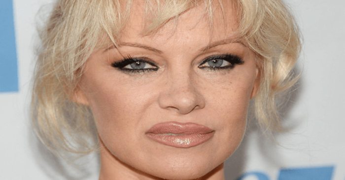 “Plastic in new pictures.” There is no trace of Pamela Anderson’s former beauty
