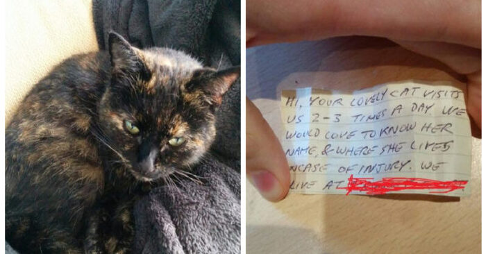  After the walk, when this cat came home, she had an interesting note hanging around her neck