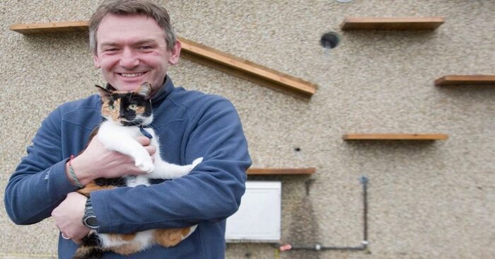  This man’s cat and dog didn’t get along, so the owner built a separate entrance for the cat