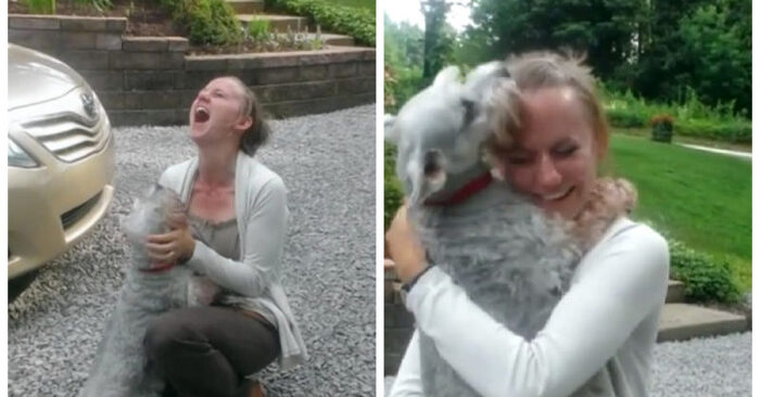  Exciting reunion: after a long time, this dog and owner are back together, the dog fainted from joy
