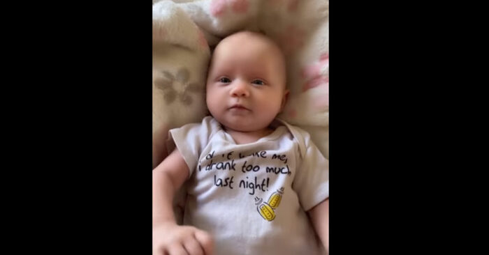  Mother taught her baby to say “mother” but had no idea that their dog heard it too