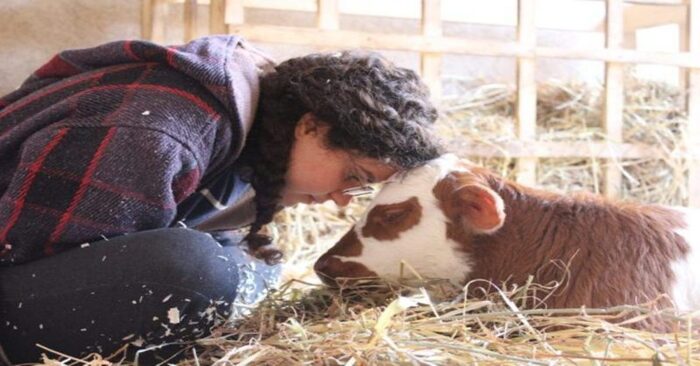  What a good story: there is a livestock farm in Israel where people bring disabled animals