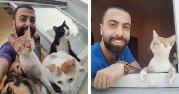  This caring person saved the lives of 9 cats, and since then they come every day to express their gratitude