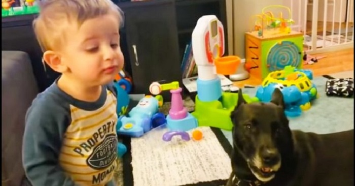  It’s not uncommon for children to bond with pets: the conversation of these cute friends draws attention