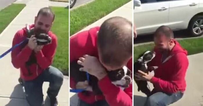  This faithful and kind dog went in search of his owner, who was not at home for several days