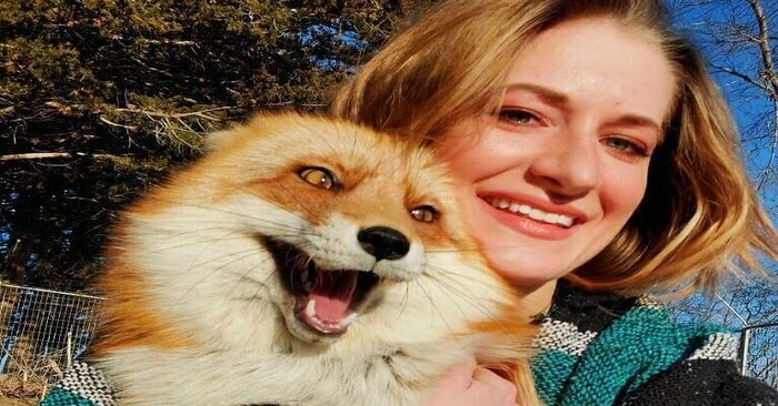  Real thief in a fur coat: the fox stole the phone from which the camera was turned on and filmed her crime