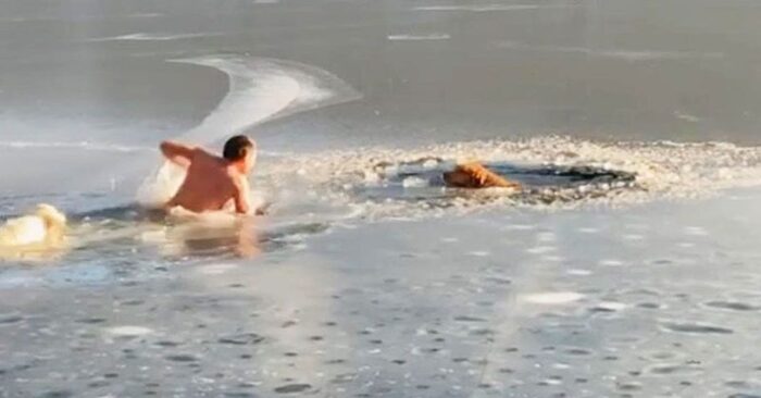  Great story: these two kind and caring cops jumped into an icy lake to help a dog