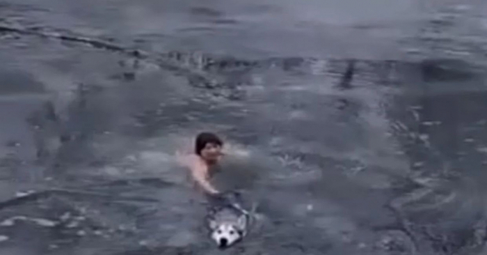  Good story: this woman tried her best to get out of the cold water of the river and save the husky’s life