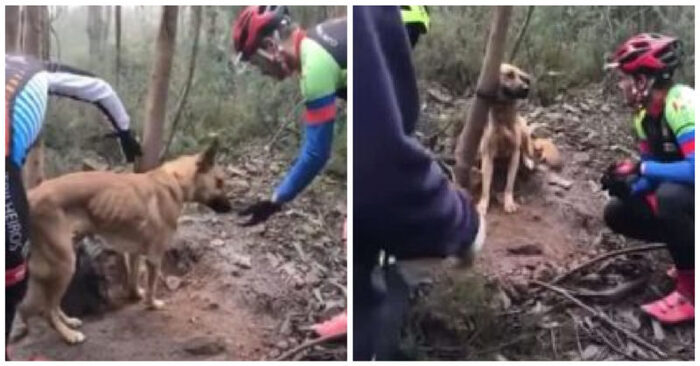  A good deed: the cyclists spotted a dog tied to a tree in the forest and rescued him