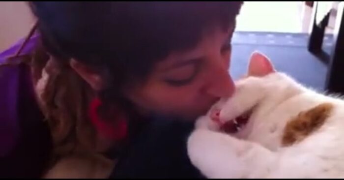  This woman constantly kissed her sleepy cat and the reaction of the baby was just indescribably cute