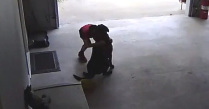  Cute story: this little boy tried his best to climb onto the roof of their neighbor’s garage to hug their dog
