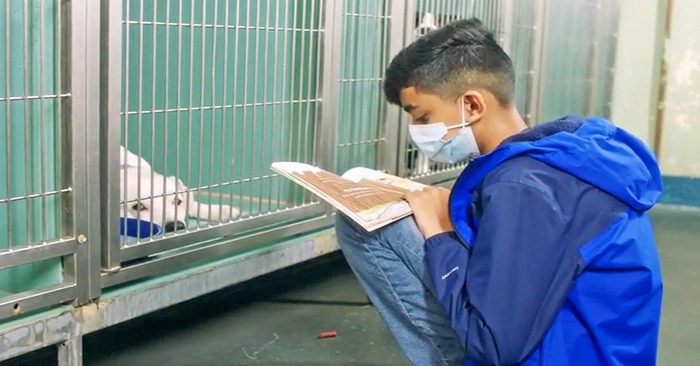  A wonderful scene: this kind and caring boy spends all his free time helping animals at the shelter