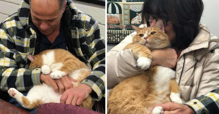  This special cat was adopted because he loves to sit on his owner’s lap: here is his new family