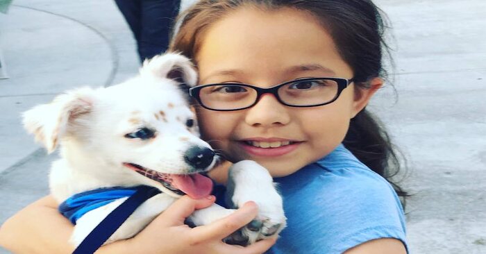  Touching scene: this 10-year-old deaf girl tries to teach a hearing-impaired puppy the sign language