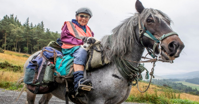  Amazing story: every year this elderly grandmother rides 1000 km on horseback with her dog