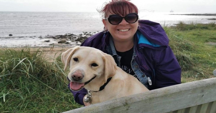  Wonderful story: this dog is trying to help a visually impaired woman regain her love for life