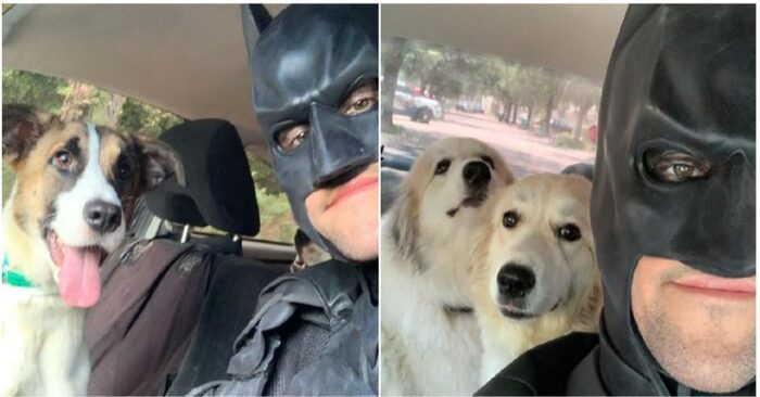  This kind man in Batman costume helps all the abandoned and lonely animals
