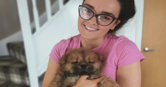  Beautiful story: this girl spends all her time and money building a room for her new dog
