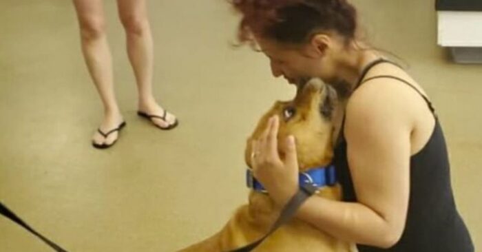  This caring woman went to a shelter to adopt a dog, but something unexpected happened there