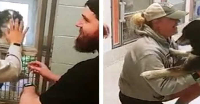  A very touching reunion: this woman finally finds her dog that has been missing for 2 weeks