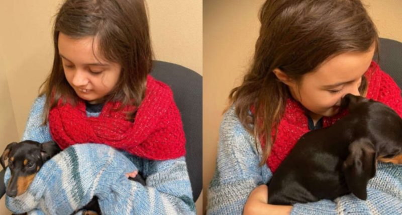  A small dog was able to help the girl so that she was not afraid to visit a doctor
