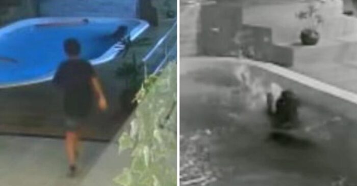  A heroic move: this guy jumps into the pool without hesitation to save his dog’s life