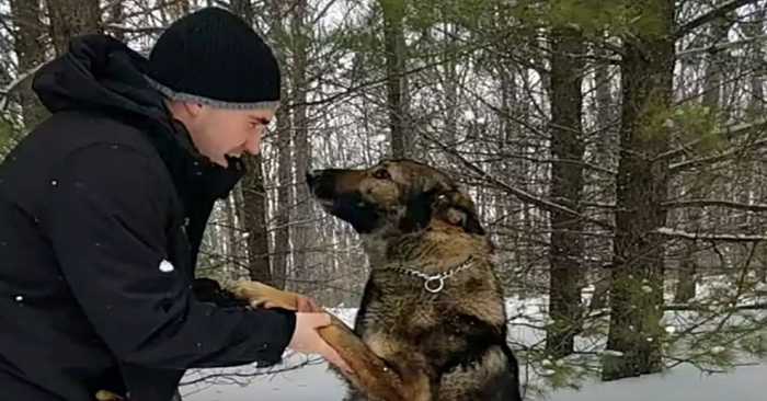  Wonderful story: that this man was left outside in the cold for hours and was saved only thanks to a police dog