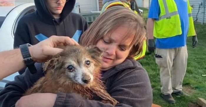  Kind rescuers had to use peanut butter and a digger to rescue this deaf dog stuck in the pipe