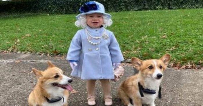  A unique story: this little girl dressed up like a queen with her friends and received a letter from Windsor Castle