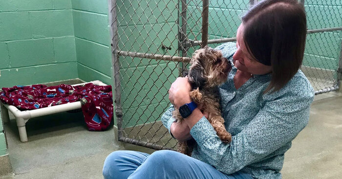  Amazing reunion: this woman lost her dog 7 years ago and luckily the dog was found years later