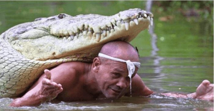  An amazing story of loyalty: this man saved the life of a crocodile that did not forget him for 20 years
