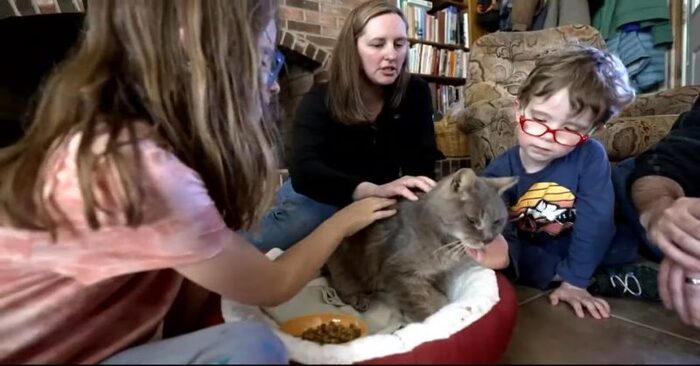  An incredible story: only 16 years later this lost cat was reunited with its family
